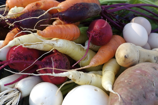 Vibrant carrots, parsnips and other root vegetables