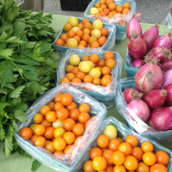 Array of vibrant veggies 